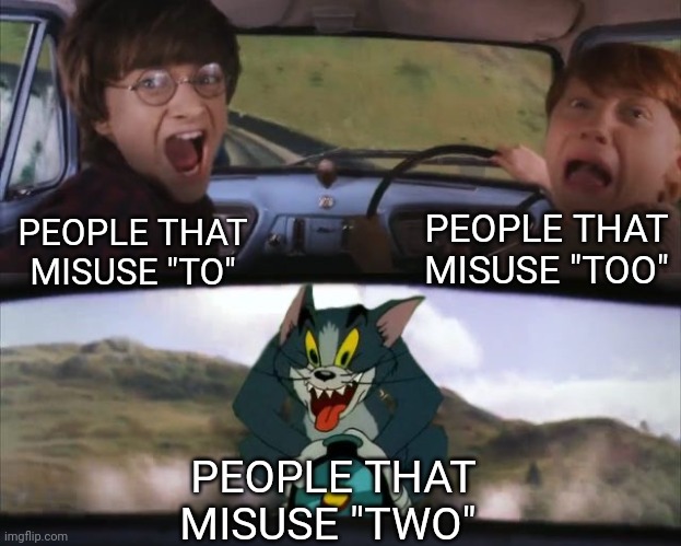 Can you think of anyone who actually misuses "two"? | PEOPLE THAT MISUSE "TOO"; PEOPLE THAT MISUSE "TO"; PEOPLE THAT MISUSE "TWO" | image tagged in tom chasing harry and ron weasly | made w/ Imgflip meme maker
