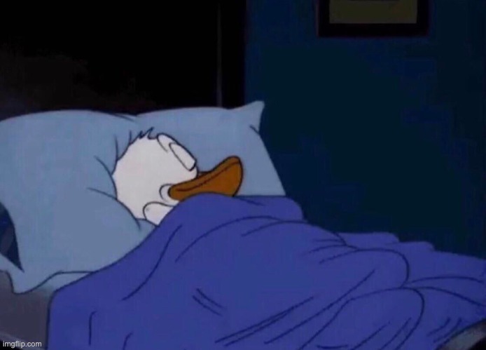 Sleeping Donald Duck | image tagged in sleeping donald duck | made w/ Imgflip meme maker