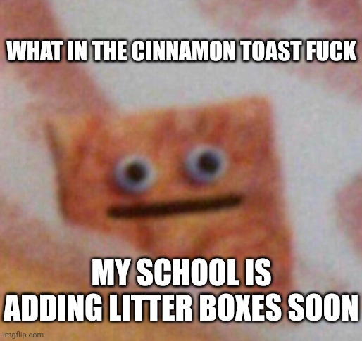 L ass school | WHAT IN THE CINNAMON TOAST FUCK; MY SCHOOL IS ADDING LITTER BOXES SOON | image tagged in cinnamon toast crunch | made w/ Imgflip meme maker