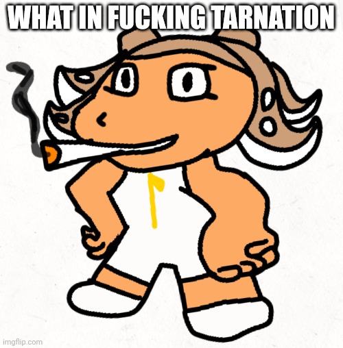 Side order agent 8 smokes a fat blunt | WHAT IN FUCKING TARNATION | image tagged in side order agent 8 smokes a fat blunt | made w/ Imgflip meme maker