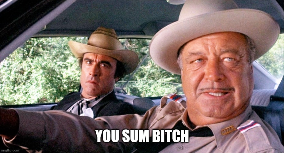 Sheriff Buford T Justice | YOU SUM BITCH | image tagged in sheriff buford t justice | made w/ Imgflip meme maker