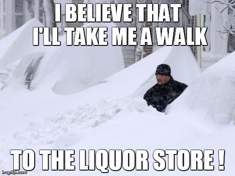 I BELIEVE THAT I'LL TAKE ME A WALK TO THE LIQUOR STORE ! | image tagged in funny,snow | made w/ Imgflip meme maker