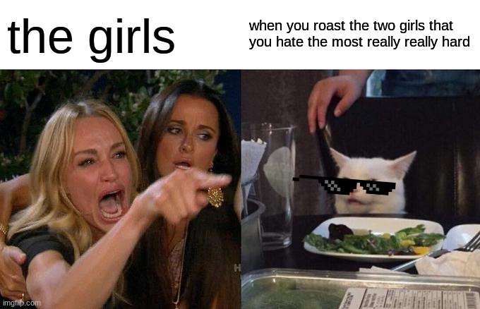 Woman Yelling At Cat Meme | the girls; when you roast the two girls that you hate the most really really hard | image tagged in memes,woman yelling at cat | made w/ Imgflip meme maker