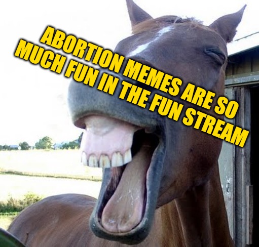 horse laugh | ABORTION MEMES ARE SO MUCH FUN IN THE FUN STREAM | image tagged in horse laugh | made w/ Imgflip meme maker