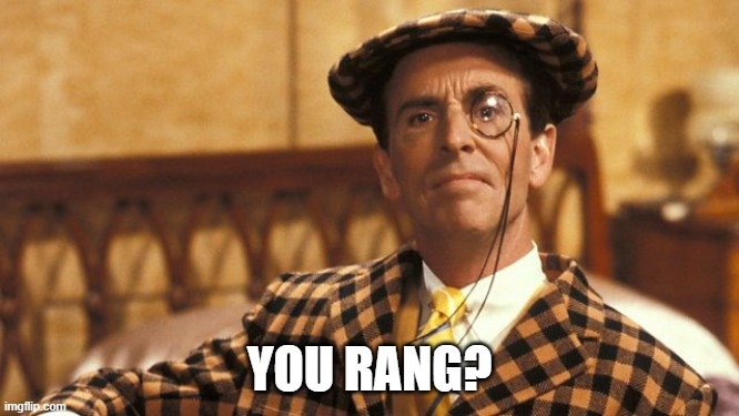 Mr Teddy | YOU RANG? | image tagged in mr teddy | made w/ Imgflip meme maker