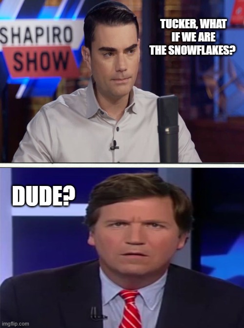 Right-wing idiocracy | TUCKER, WHAT IF WE ARE THE SNOWFLAKES? DUDE? | image tagged in memes,ben shapiro,tucker carlson,idiots | made w/ Imgflip meme maker