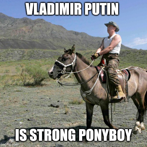 Strong ponyboy | VLADIMIR PUTIN; IS STRONG PONYBOY | image tagged in vladimir putin | made w/ Imgflip meme maker