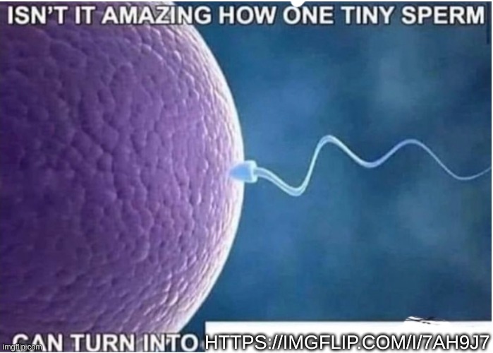https://imgflip.com/i/7ah9j7 | HTTPS://IMGFLIP.COM/I/7AH9J7 | image tagged in isnt it amazing how one tiny sperm can turn into | made w/ Imgflip meme maker