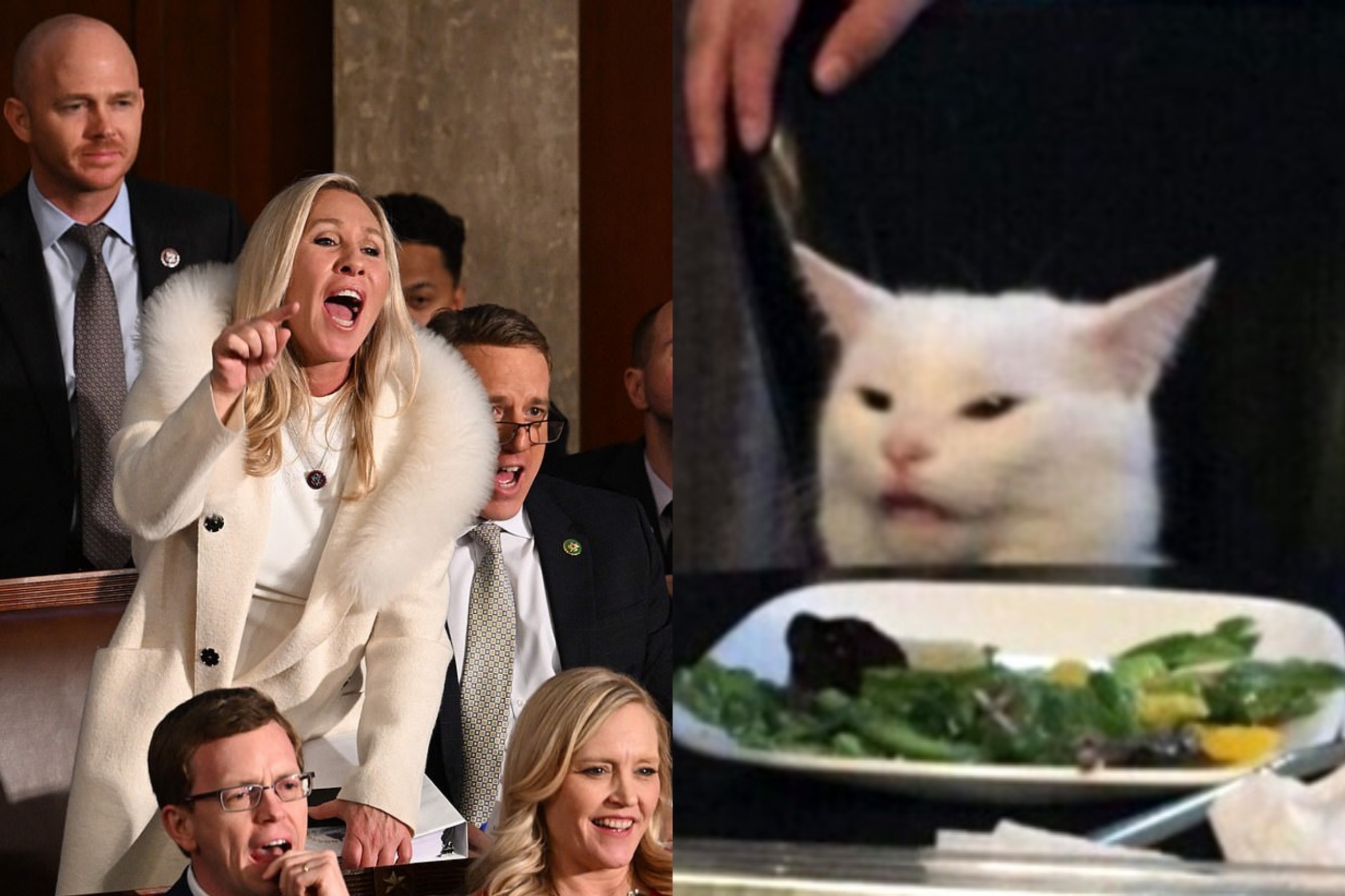 High Quality Marjorie Taylor Greene yelling at cat Blank Meme Template