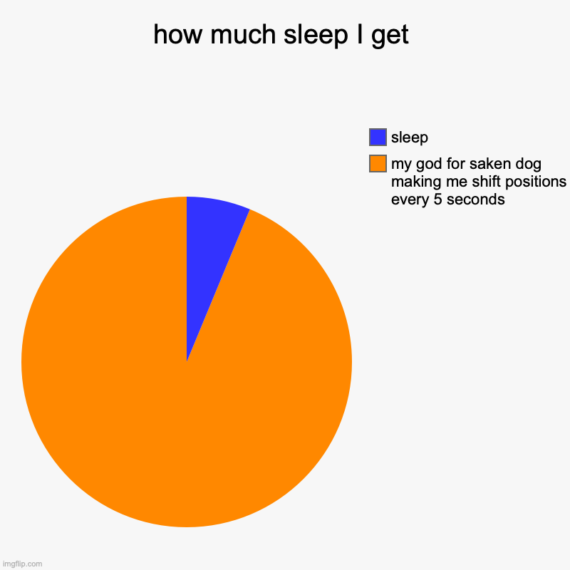 how much sleep I get | my god for saken dog making me shift positions every 5 seconds, sleep | image tagged in charts,pie charts | made w/ Imgflip chart maker