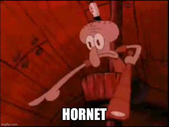 Squidward pointing | HORNET | image tagged in squidward pointing | made w/ Imgflip meme maker