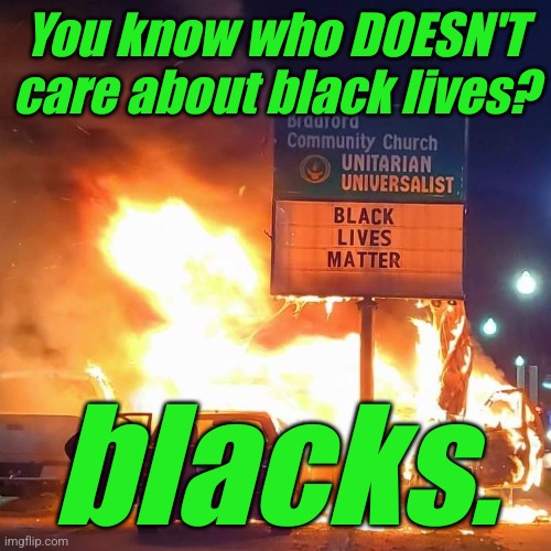 Truth... she can sting a bit... | You know who DOESN'T care about black lives? blacks. | image tagged in blm,antifa,lgbtq,liberals,democrats,criminals | made w/ Imgflip meme maker
