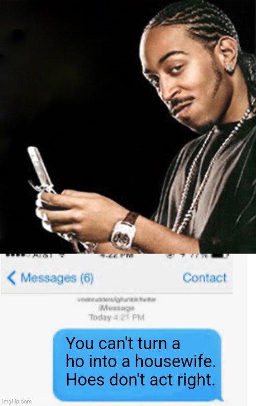 You can't turn a ho into a housewife. Hoes don't act right. | image tagged in ludacris texting,blank text conversation | made w/ Imgflip meme maker