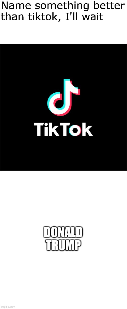 I mean at least he tried to ban TikTok | DONALD TRUMP | image tagged in name something better than tiktok i'll wait | made w/ Imgflip meme maker