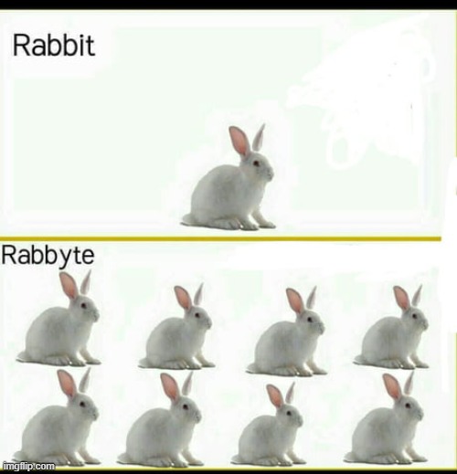 Rabbyte | image tagged in rabbit,bunny,bunnies,memes,repost,funny | made w/ Imgflip meme maker