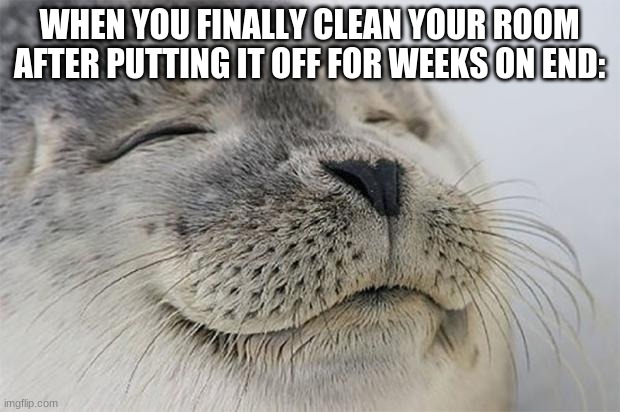 bliss | WHEN YOU FINALLY CLEAN YOUR ROOM AFTER PUTTING IT OFF FOR WEEKS ON END: | image tagged in memes,satisfied seal,relatable,bliss | made w/ Imgflip meme maker