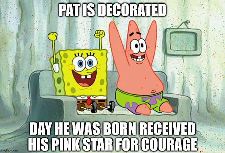 PAT IS DECORATED DAY HE WAS BORN RECEIVED HIS PINK STAR FOR COURAGE | made w/ Imgflip meme maker