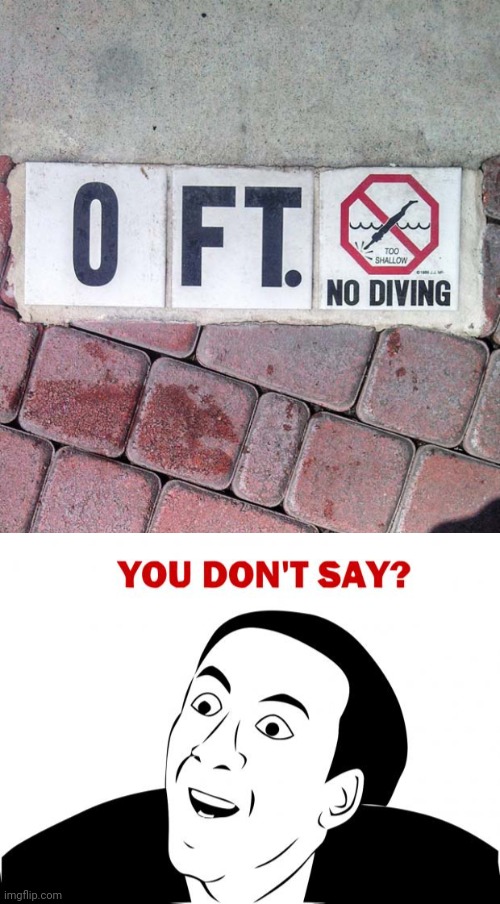 image tagged in memes,you don't say,diving | made w/ Imgflip meme maker