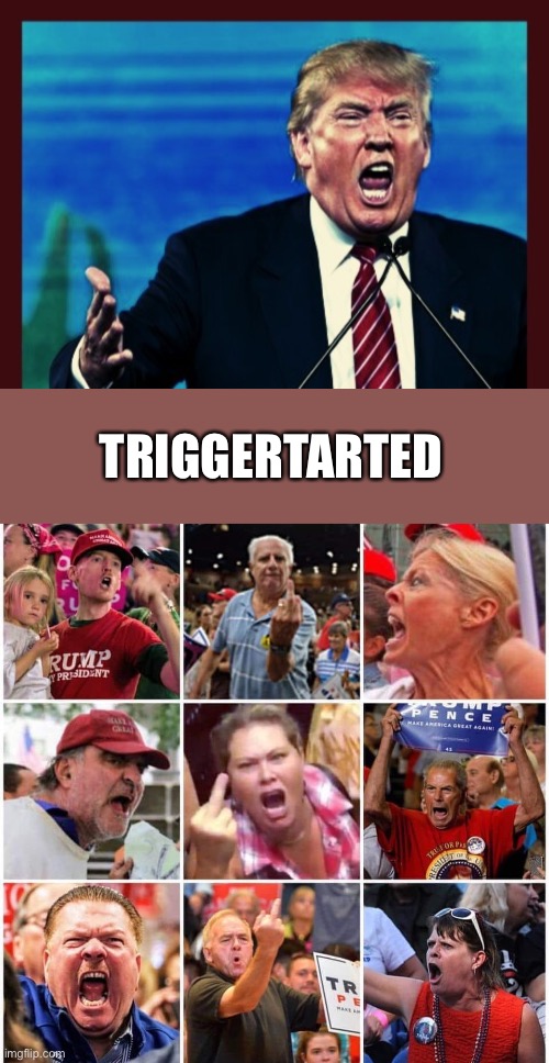 TRIGGERTARTED | image tagged in trump triggered triggered triggered tarded,triggered trump supporters | made w/ Imgflip meme maker