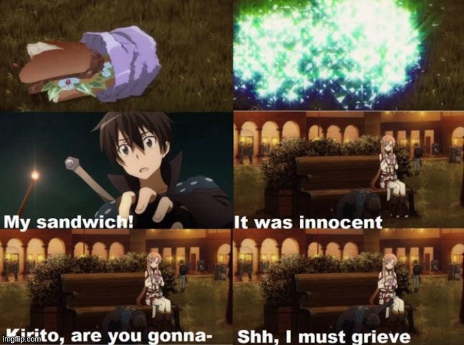 NOOO THE SAMICH | image tagged in anime,sword art online | made w/ Imgflip meme maker