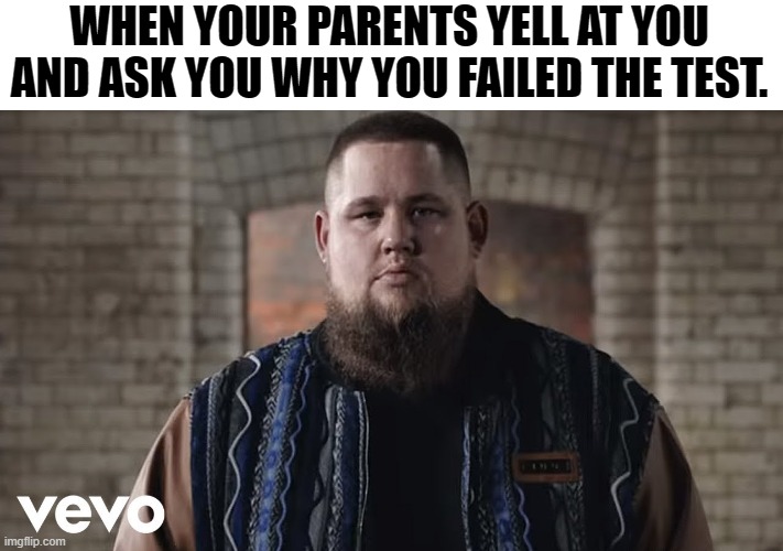WHEN YOUR PARENTS YELL AT YOU AND ASK YOU WHY YOU FAILED THE TEST. | image tagged in human,parents,test | made w/ Imgflip meme maker