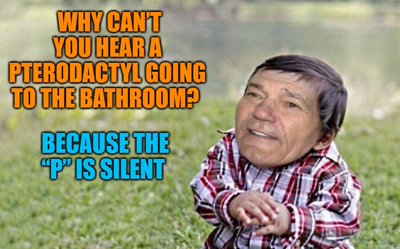 evil-kewlew-toddler | WHY CAN’T YOU HEAR A PTERODACTYL GOING TO THE BATHROOM? BECAUSE THE “P” IS SILENT | image tagged in evil-kewlew-toddler | made w/ Imgflip meme maker