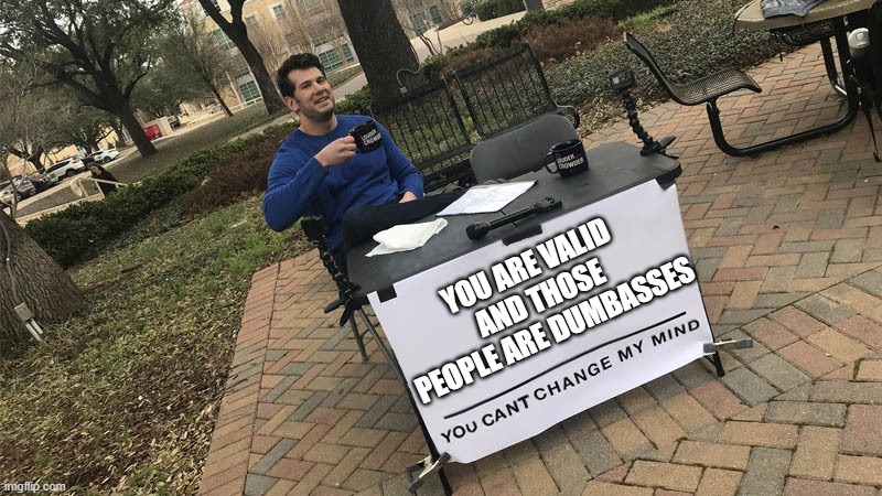 You can't change my mind | YOU ARE VALID AND THOSE PEOPLE ARE DUMBASSES | image tagged in you can't change my mind | made w/ Imgflip meme maker