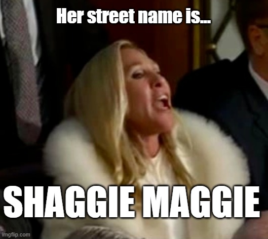 Shaggie Maggie | Her street name is... SHAGGIE MAGGIE | image tagged in mtg,shaggie maggie,fascist,clown car republicans,asshole | made w/ Imgflip meme maker