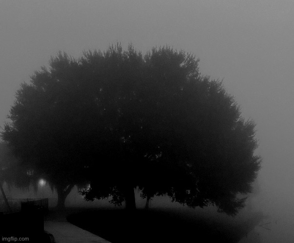 Come OUT of the FOG 2022 | image tagged in come out of the fog 2022 | made w/ Imgflip meme maker