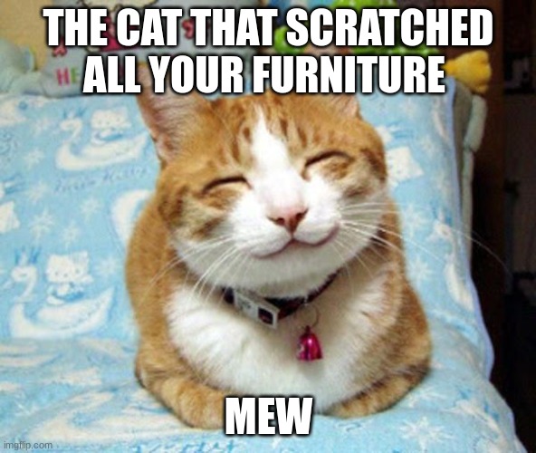 just can't be mad at it | THE CAT THAT SCRATCHED ALL YOUR FURNITURE; MEW | image tagged in smiled cat,cute cat | made w/ Imgflip meme maker
