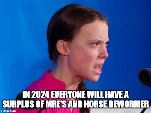 IN 2024 EVERYONE WILL HAVE A SURPLUS OF MRE'S AND HORSE DEWORMER | image tagged in greta thunberg | made w/ Imgflip meme maker
