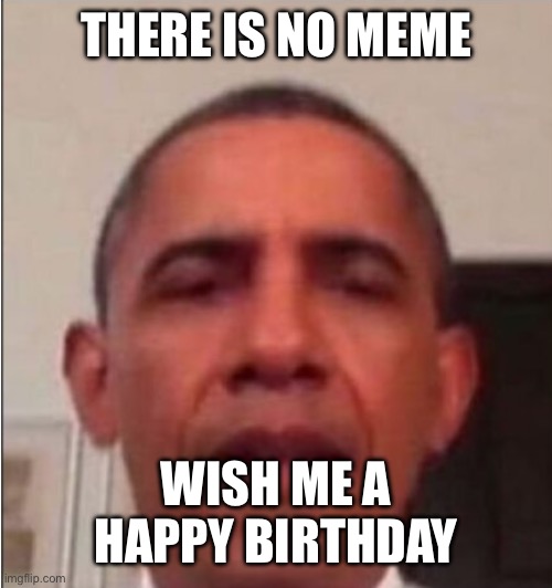 There is no meme template | THERE IS NO MEME; WISH ME A HAPPY BIRTHDAY | image tagged in there is no meme template | made w/ Imgflip meme maker