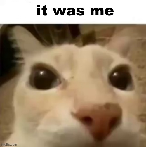 X your balls | it was me | image tagged in x your balls | made w/ Imgflip meme maker