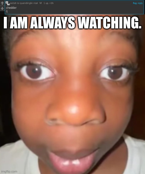 I AM ALWAYS WATCHING. | image tagged in im looking | made w/ Imgflip meme maker