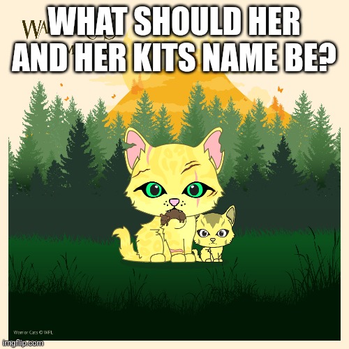 WHAT SHOULD HER AND HER KITS NAME BE? | made w/ Imgflip meme maker