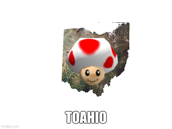 TOAHIO | made w/ Imgflip meme maker