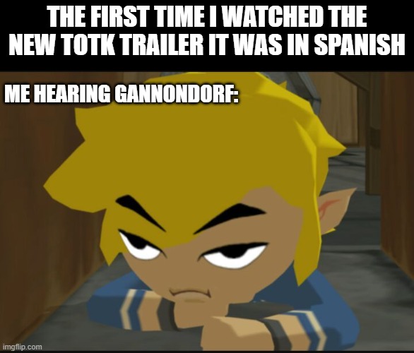 La Leyenda De Zelda | THE FIRST TIME I WATCHED THE NEW TOTK TRAILER IT WAS IN SPANISH; ME HEARING GANNONDORF: | image tagged in frustrated link | made w/ Imgflip meme maker