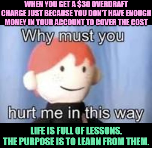 Why must you hurt me in this way | WHEN YOU GET A $30 OVERDRAFT CHARGE JUST BECAUSE YOU DON'T HAVE ENOUGH MONEY IN YOUR ACCOUNT TO COVER THE COST LIFE IS FULL OF LESSONS.
THE  | image tagged in why must you hurt me in this way | made w/ Imgflip meme maker