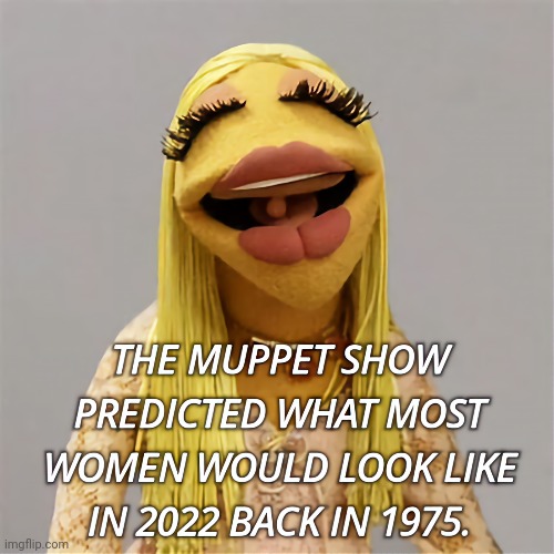 The Future of Woman Now: Janice (Muppet Show) | image tagged in looks,lips,the muppets | made w/ Imgflip meme maker