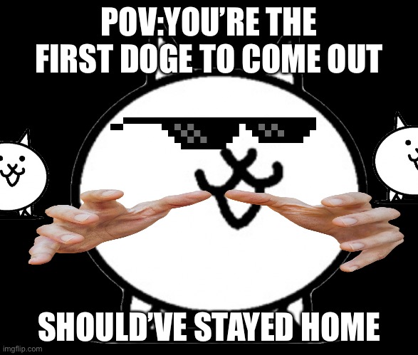 When you go back to Korea in “Battle Cats” | POV:YOU’RE THE FIRST DOGE TO COME OUT; SHOULD’VE STAYED HOME | image tagged in battle cats basic cat | made w/ Imgflip meme maker