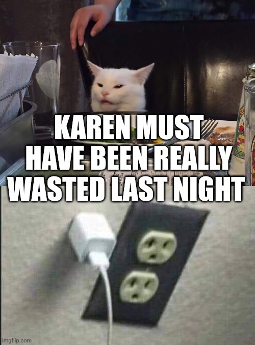 KAREN MUST HAVE BEEN REALLY WASTED LAST NIGHT | image tagged in smudge the cat | made w/ Imgflip meme maker