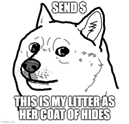 Black and White Doge | SEND $ THIS IS MY LITTER AS
HER COAT OF HIDES | image tagged in black and white doge | made w/ Imgflip meme maker