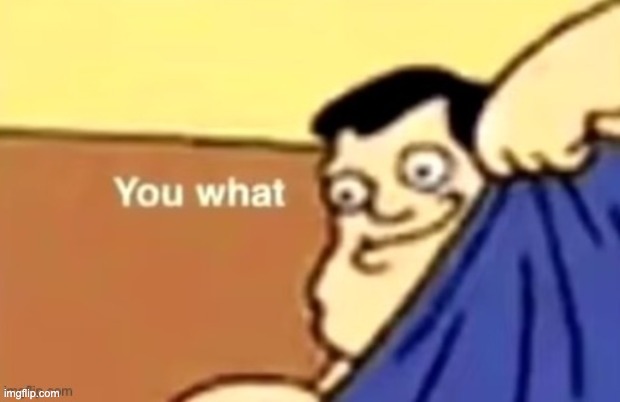you what | image tagged in you what | made w/ Imgflip meme maker