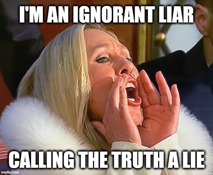 big liars gonna lie... | I'M AN IGNORANT LIAR; CALLING THE TRUTH A LIE | image tagged in mtg,big,lie,ignorant,liar,stfu | made w/ Imgflip meme maker