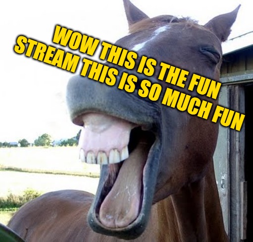horse laugh | WOW THIS IS THE FUN STREAM THIS IS SO MUCH FUN | image tagged in horse laugh | made w/ Imgflip meme maker