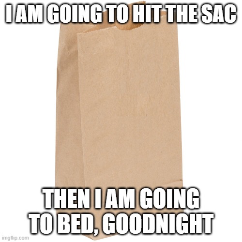 hit the sac | I AM GOING TO HIT THE SAC; THEN I AM GOING TO BED, GOODNIGHT | image tagged in bedtime,goodnight | made w/ Imgflip meme maker