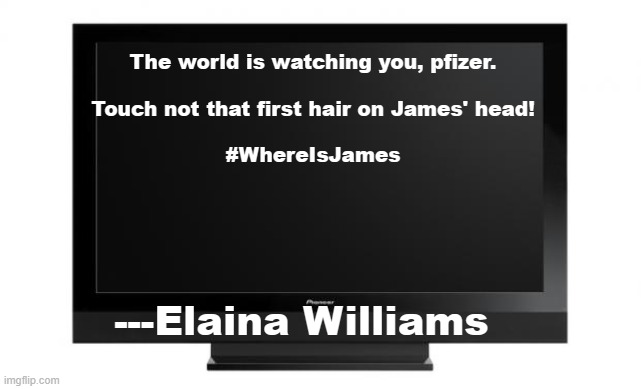 Television |  The world is watching you, pfizer.
 
Touch not that first hair on James' head!
 
#WhereIsJames; ---Elaina Williams | image tagged in television | made w/ Imgflip meme maker