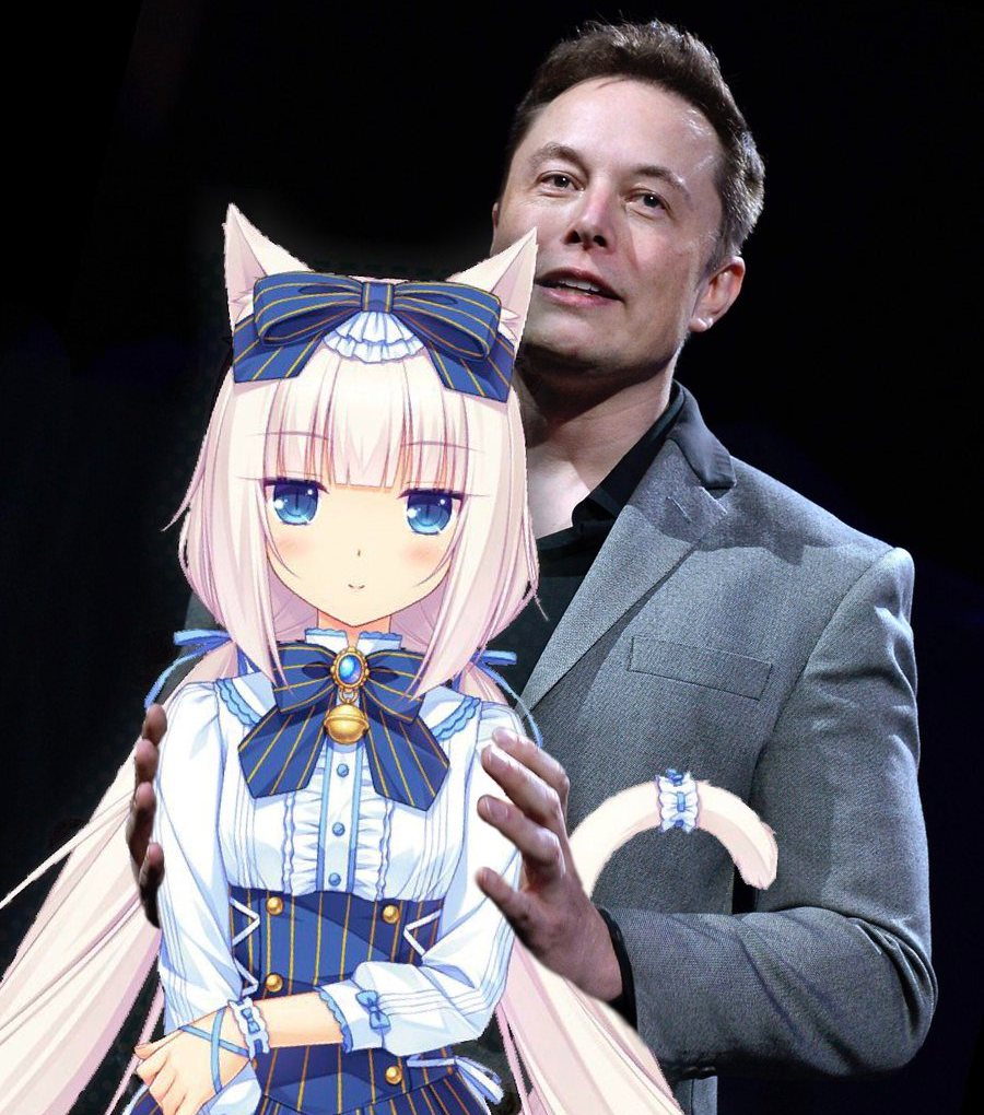 High Quality Ellon Musk with white haired catgirl Blank Meme Template