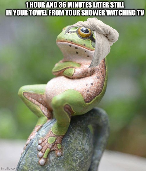 I couldn’t find a towel to wrap the frog in :| | 1 HOUR AND 36 MINUTES LATER STILL IN YOUR TOWEL FROM YOUR SHOWER WATCHING TV | image tagged in nah frog,fresh memes | made w/ Imgflip meme maker