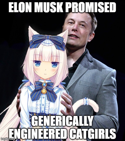 genetically is misspelled, oops | ELON MUSK PROMISED; GENERICALLY ENGINEERED CATGIRLS | image tagged in ellon musk with white haired catgirl,nekopara,vanilla | made w/ Imgflip meme maker